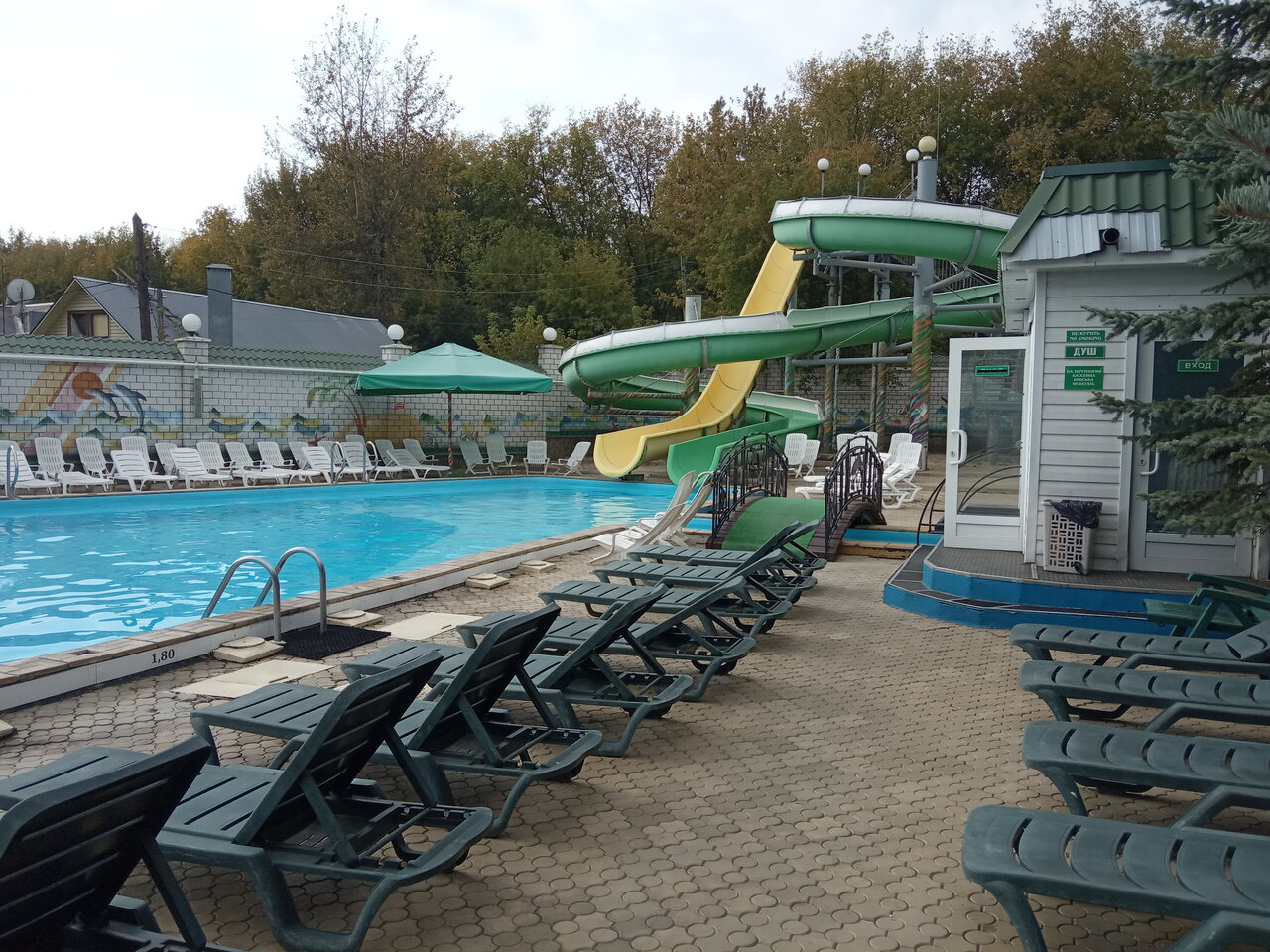 Гостиница Ёлки Калуга-175