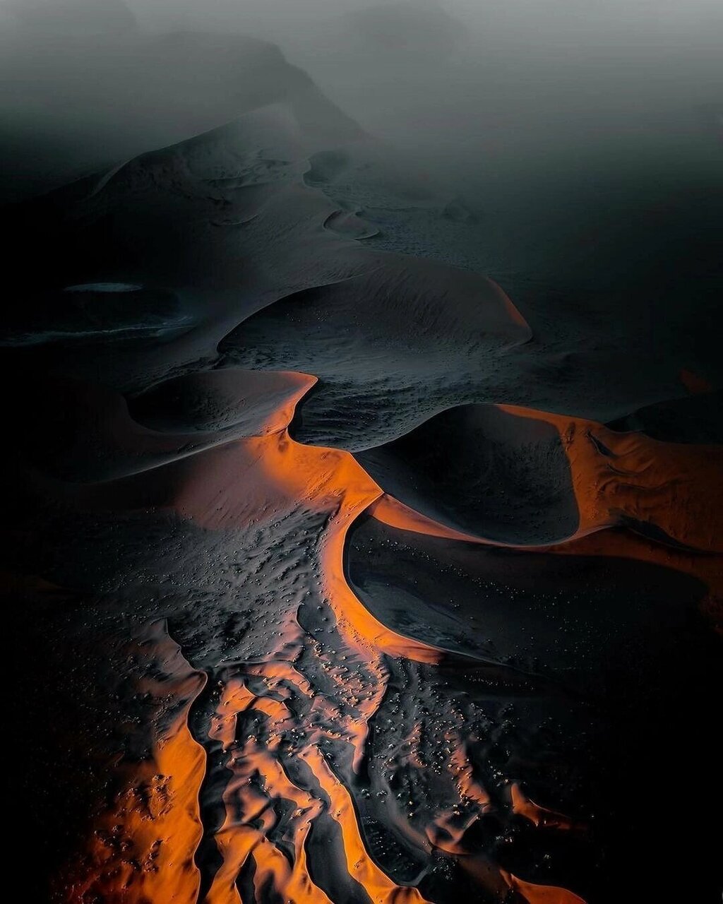 Гостиница Ёлки Калуга-141