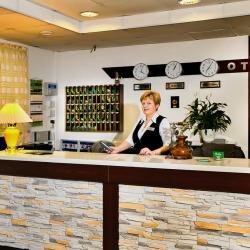 Гостиница Ёлки Калуга-111