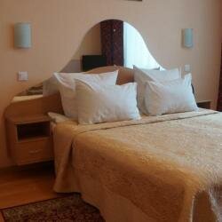 Гостиница Ёлки Калуга-42