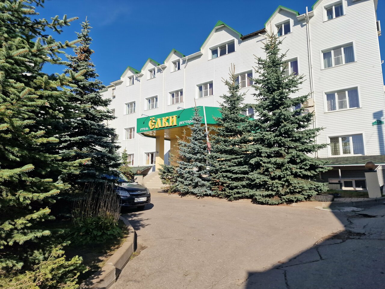 Гостиница Ёлки Калуга-163