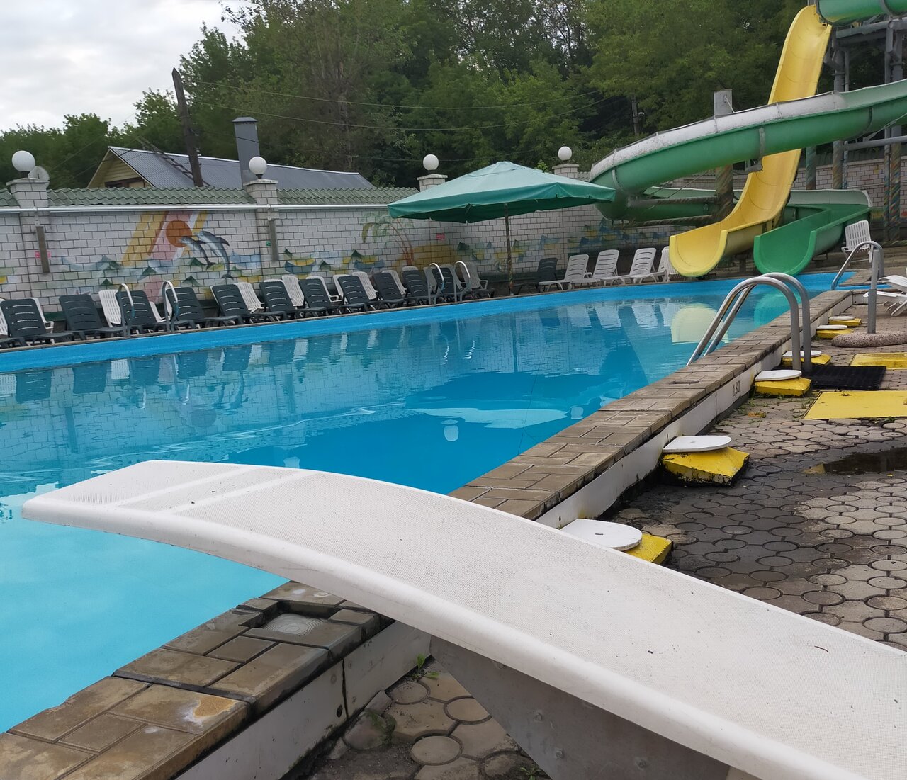 Гостиница Ёлки Калуга-181