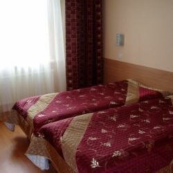 Гостиница Ёлки Калуга-109