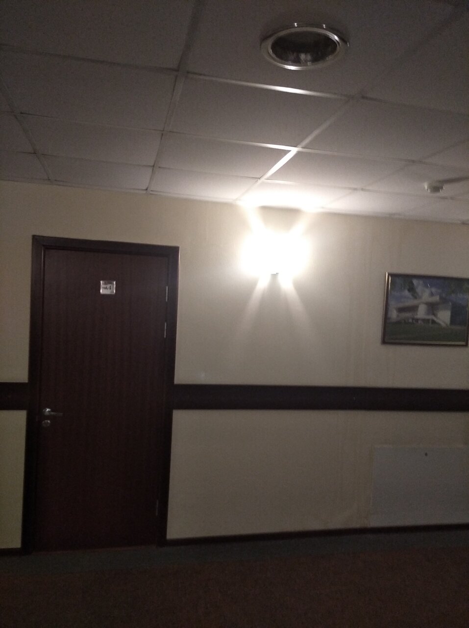 Гостиница Ёлки Калуга-197