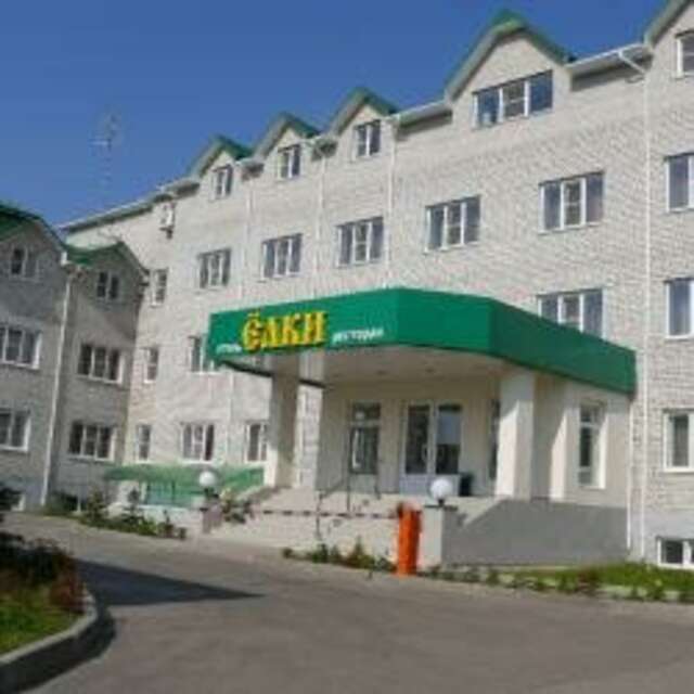 Гостиница Ёлки Калуга-36