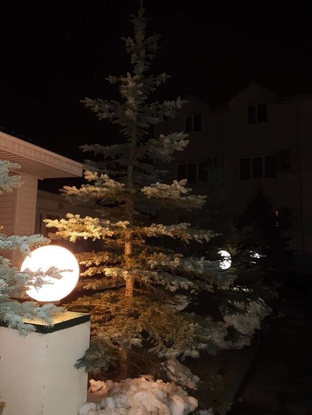 Гостиница Ёлки Калуга-136