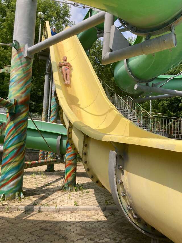 Гостиница Ёлки Калуга-158