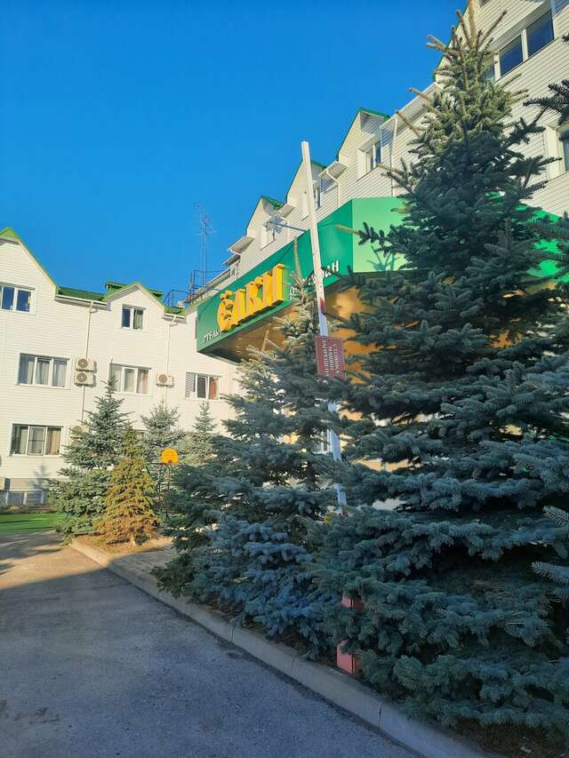 Гостиница Ёлки Калуга-139